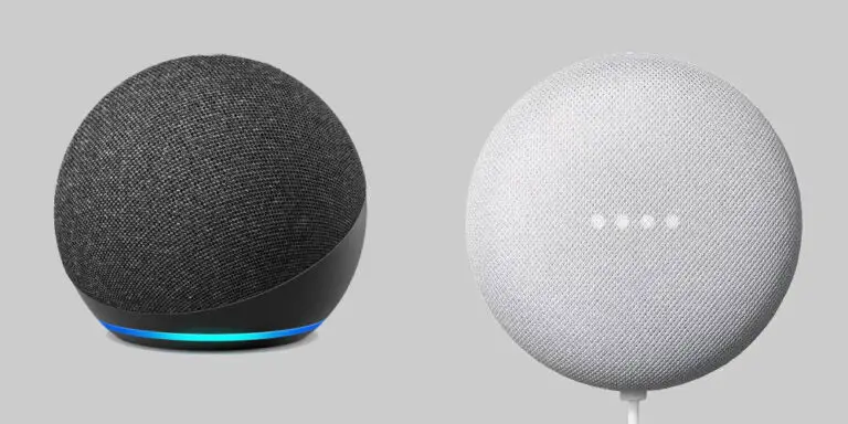 Amazon Alexa vs Google Assistant: Which is better? | My Dream Haus