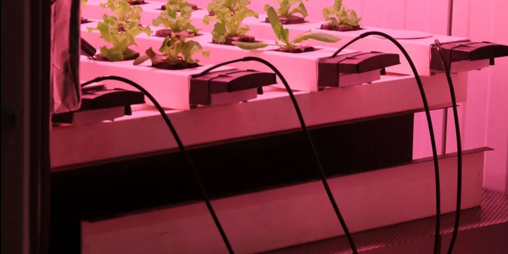 Six hydroponic systems