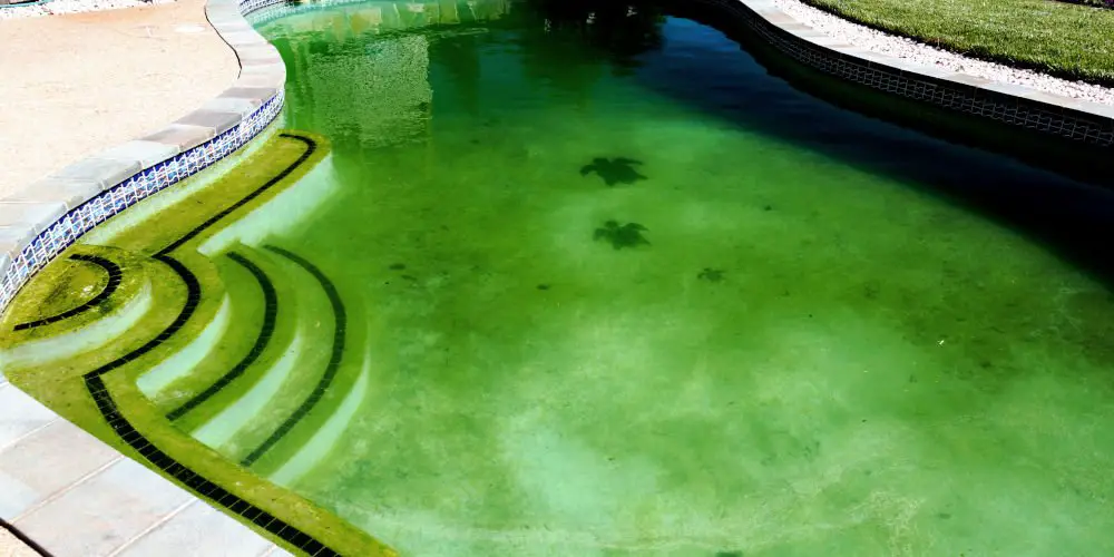 swimming pool green